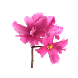 Similar image 22229994