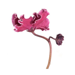 Similar image 22229995