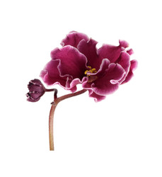 Similar image 22229996