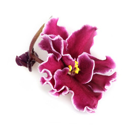 Similar image 22229998