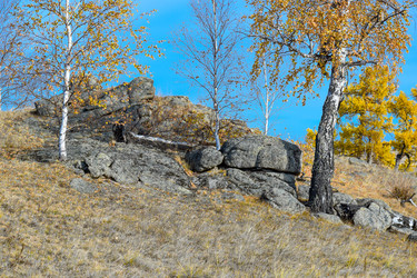 Similar image 22213455