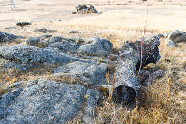 Similar image 22213475