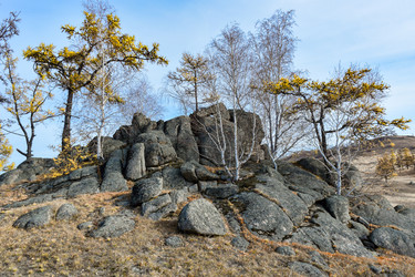 Similar image 22213476