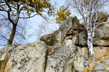 Similar image 22213477