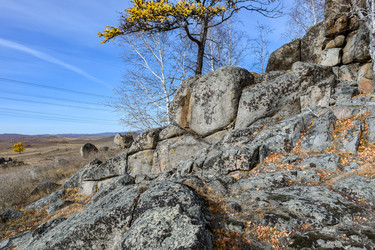 Similar image 22213479