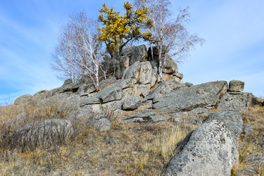 Similar image 22213480