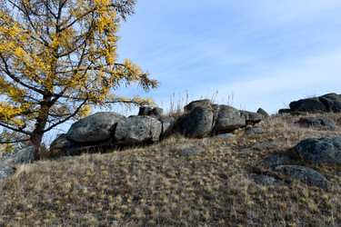 Similar image 22213489