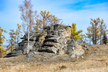 Similar image 22213495