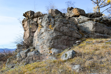 Similar image 22213502