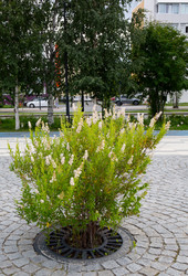 Similar image 22211374