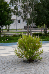 Similar image 22211375