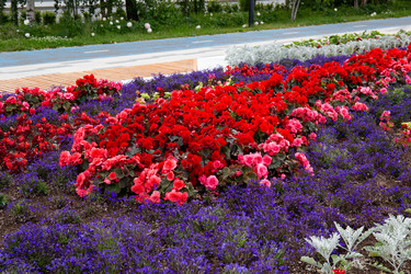 Similar image 22211377