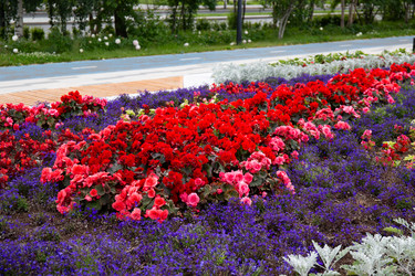 Similar image 22211378