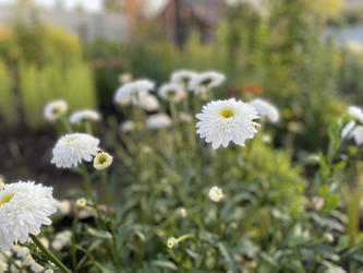 Similar image 22211490