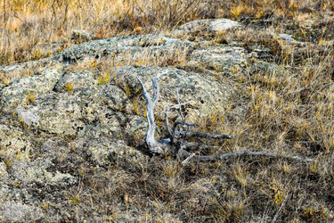 Similar image 22213510