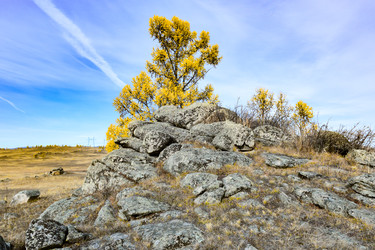 Similar image 22213513