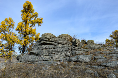 Similar image 22213514