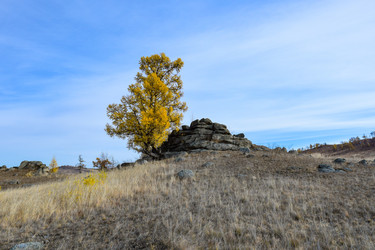 Similar image 22213515