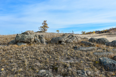 Similar image 22213518