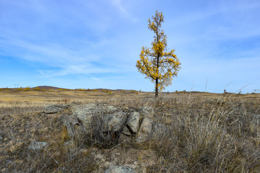 Similar image 22213519