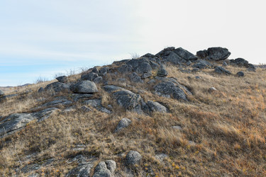 Similar image 22213529