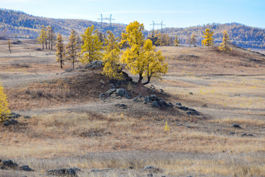 Similar image 22213537