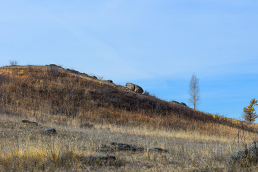 Similar image 22213540