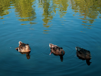 Similar image 22222818