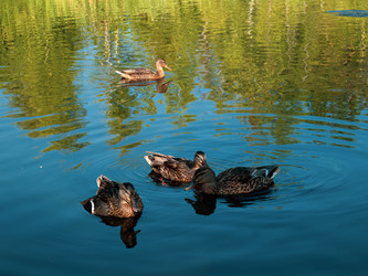 Similar image 22222819