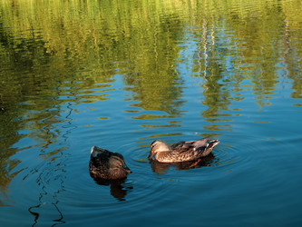 Similar image 22222820