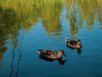 Similar image 22211129