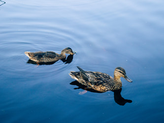 Similar image 22222821