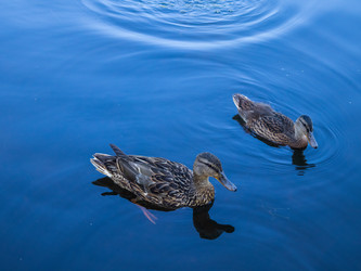 Similar image 22211130