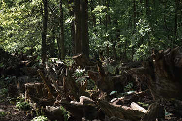 Similar image 22211222