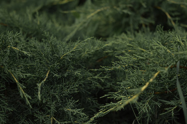 Similar image 22221853