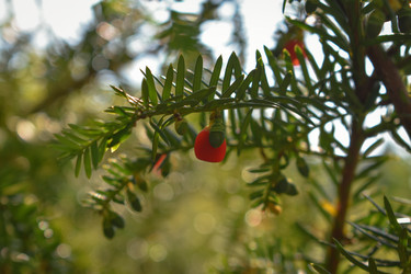 Similar image 22211412