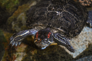 Similar image 22211224