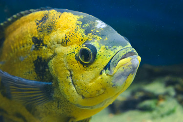 Similar image 22211225