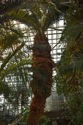 Similar image 22211226