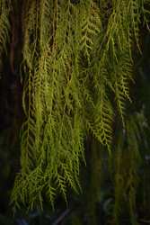 Similar image 22221854