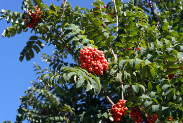 Similar image 22219648