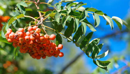 Similar image 22219658