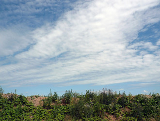 Similar image 22256668