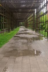 Similar image 22256671