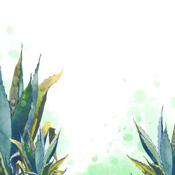 Similar image 22222101