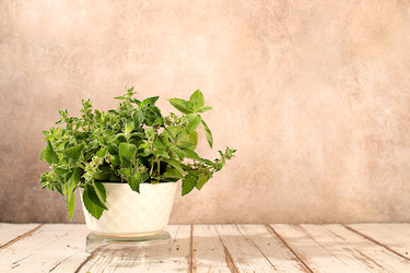 Similar image 22211520