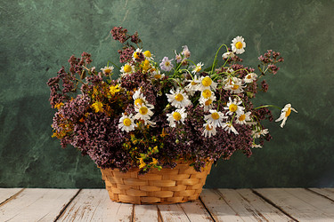 Similar image 22211528