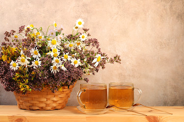 Similar image 22211530