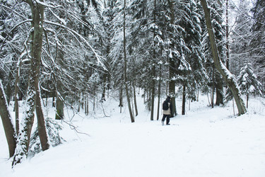 Similar image 22225820