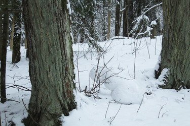 Similar image 22225821